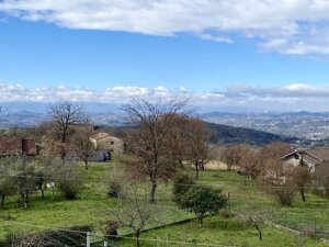 camera02.jpeg camera02.jpeg