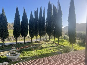 img_2858.jpeg img_2858.jpeg