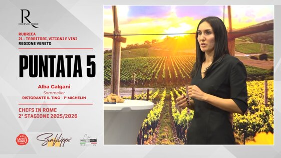 576b2e24-8693-4496-b3e0-919bbe28f589