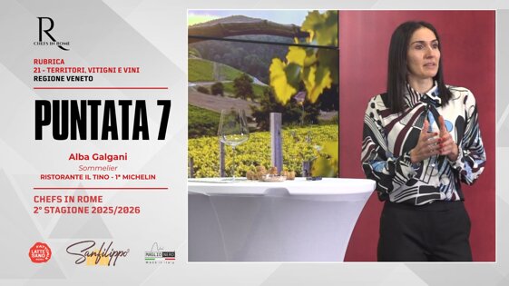 b0410aa6-45b3-4cbd-b067-d9619a0452b3