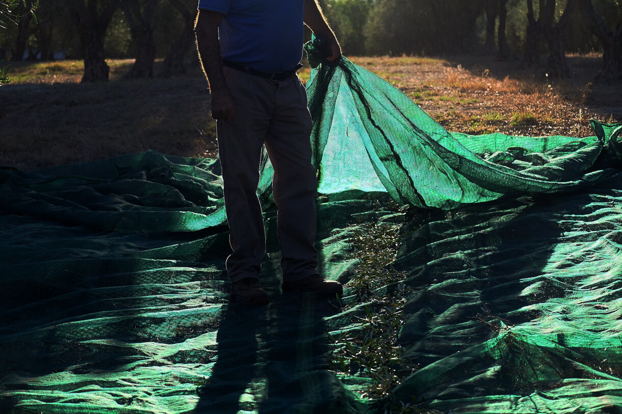 6913721d-51bd-4688-8d69-9a3a7aee8191 6913721d-51bd-4688-8d69-9a3a7aee8191