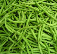 senzatitolo-1 senzatitolo-1