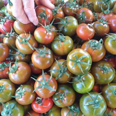 9d810155-8bbc-4fdc-93c2-2a3db3fffb20