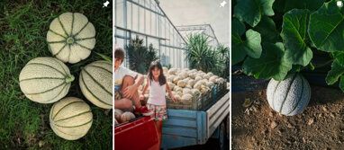 bd75f596-dfd1-4804-85a9-d3128b5ad6f8