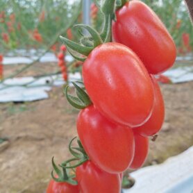 d0d794ba-e65c-4dc2-92c2-151c9abed7c3 d0d794ba-e65c-4dc2-92c2-151c9abed7c3