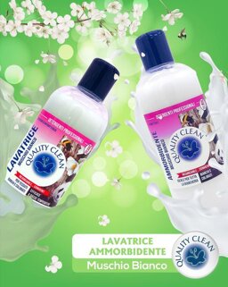 dd89b81b-b810-4e3f-8afc-b097d4875388