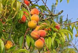 3fd7ce11-5b45-483e-b500-16fe65360202