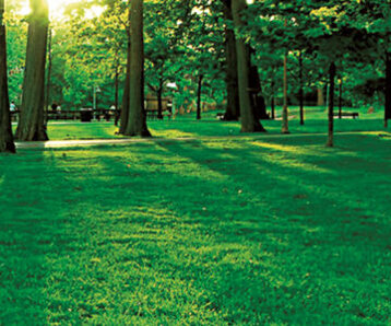 e7fa1832-3d05-44e1-b6f6-a8a8c882c13a