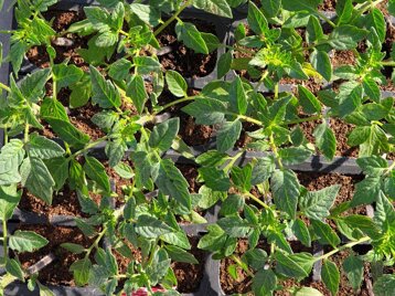 48237c8a-4b36-4ccb-bb85-4747b82859f2