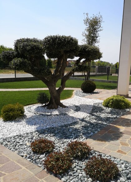 97fea109-2ea4-407c-b539-f9091c9ada44