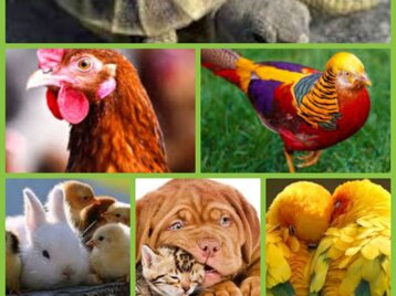 1a21f363-6818-485c-a501-999c2c99caaa