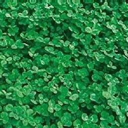 c0f362b3-d940-4169-905b-b5db2bf7e428