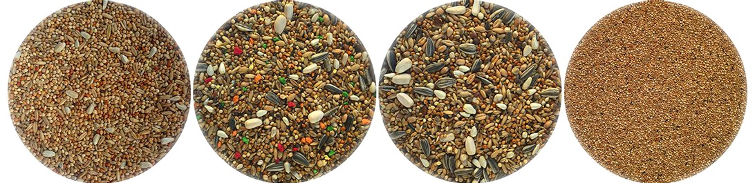 8818002b-6edd-4d4d-9abd-af1f25929f43