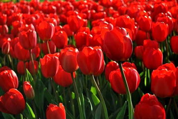 5edd34a1-5666-4eff-b7ba-5024c65741f5