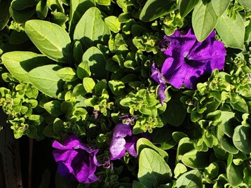 785b1639-15b8-4a76-ab69-048e04113669