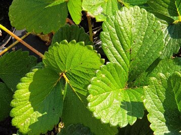 ab1e81a0-6bb8-4826-ad24-61176fad0deb