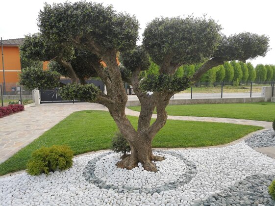 897c3bda-0a10-41b4-a971-a0396456001e