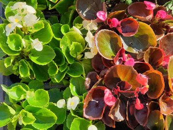 a7d4a025-248e-4579-aac4-1bb2e3be2969