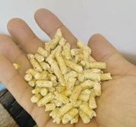 0f3b1ef7-b65a-4a7e-882c-4d894789e3ee