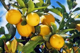 af69f6b2-fd89-4fcc-9d7c-7a75f399658b