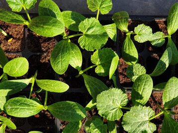 0765a65c-9e9f-44f2-9698-e80548af6e09