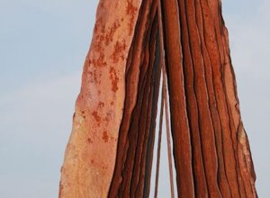 opera%20di%20sparasci%2001.jpeg opera%20di%20sparasci%2001.jpeg