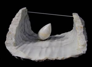 il%20viaggio%2001 il%20viaggio%2001