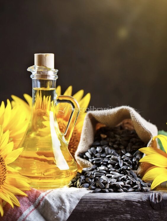 img_2059.jpeg img_2059.jpeg