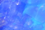 01ev2026