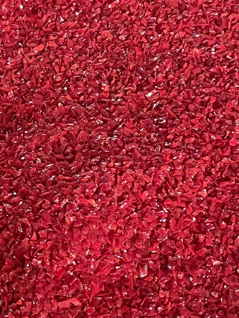 img_4186.jpeg img_4186.jpeg