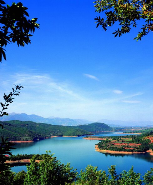 diber.jpeg diber.jpeg