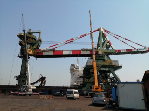 whatsapp image 2026-03-10 at 14.50.31.jpeg