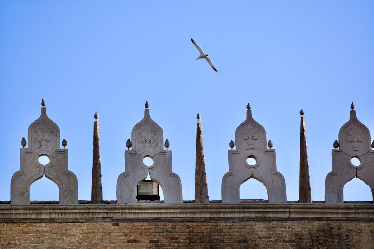 dsc_0100.jpeg dsc_0100.jpeg