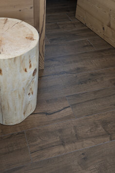 ragno_b&b fiemme in vista_031.jpeg