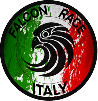 falcon race italy