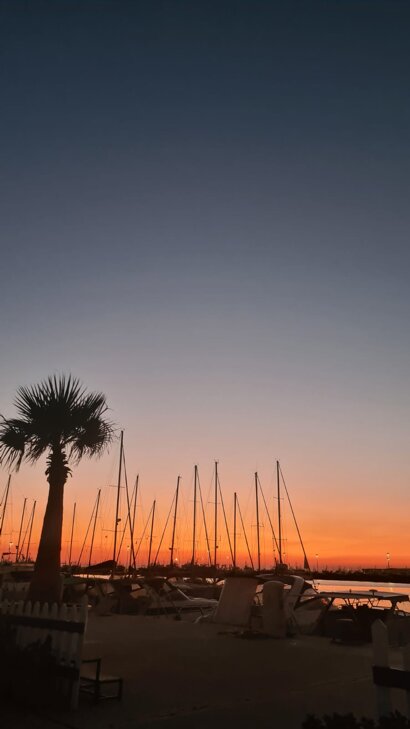 whatsapp image 2026-02-24 at 13.43.19 (1).jpeg