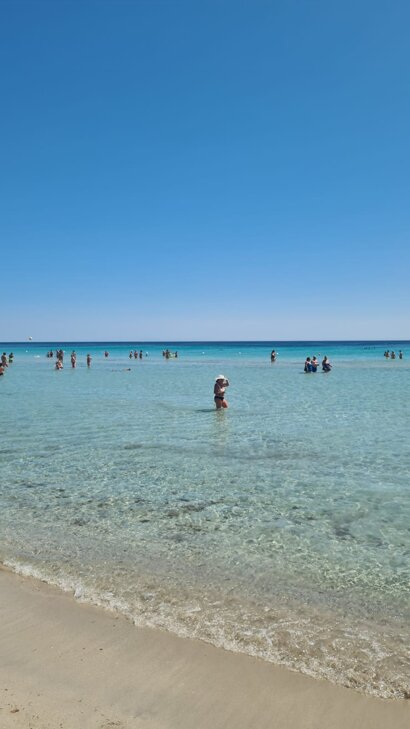 whatsapp image 2026-02-24 at 13.46.36.jpeg