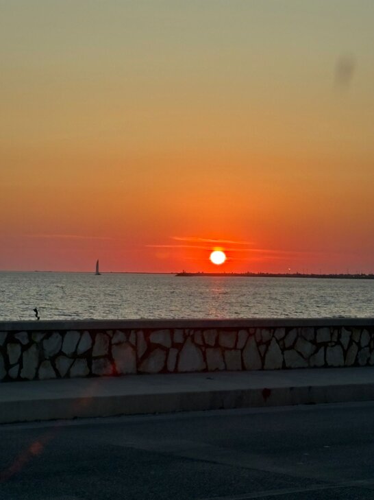 whatsapp image 2025-07-06 at 12.15.30 (1).jpeg