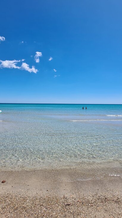 whatsapp image 2026-02-24 at 13.42.18 (1).jpeg