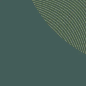 risorsa%2058xxxhdpi.webp