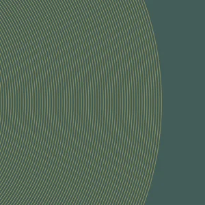risorsa%2047xxxhdpi.webp