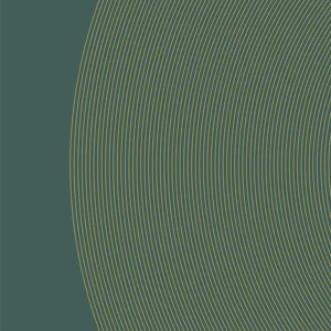 risorsa%2052xxxhdpi.webp