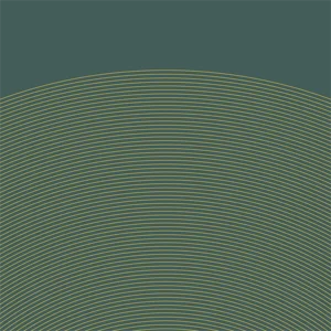 risorsa%2046xxxhdpi.webp