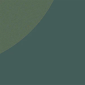risorsa 62xxxhdpi.webp