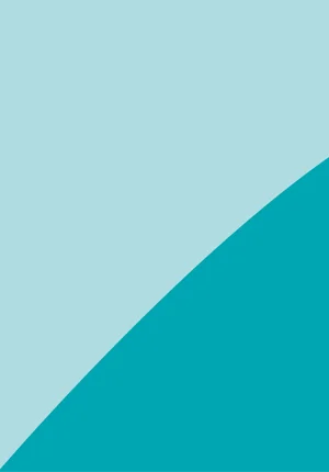 risorsa%2077xxxhdpi.webp