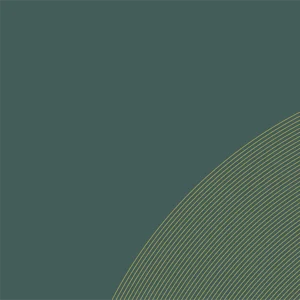 risorsa%2045xxxhdpi.webp