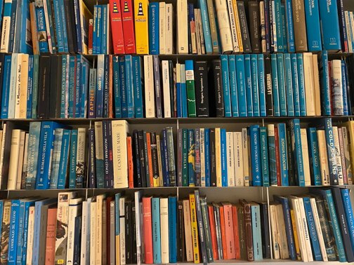 img_2291.jpeg img_2291.jpeg