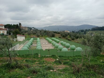 whatsapp image 2026-02-23 at 45.jpeg whatsapp image 2026-02-23 at 45.jpeg