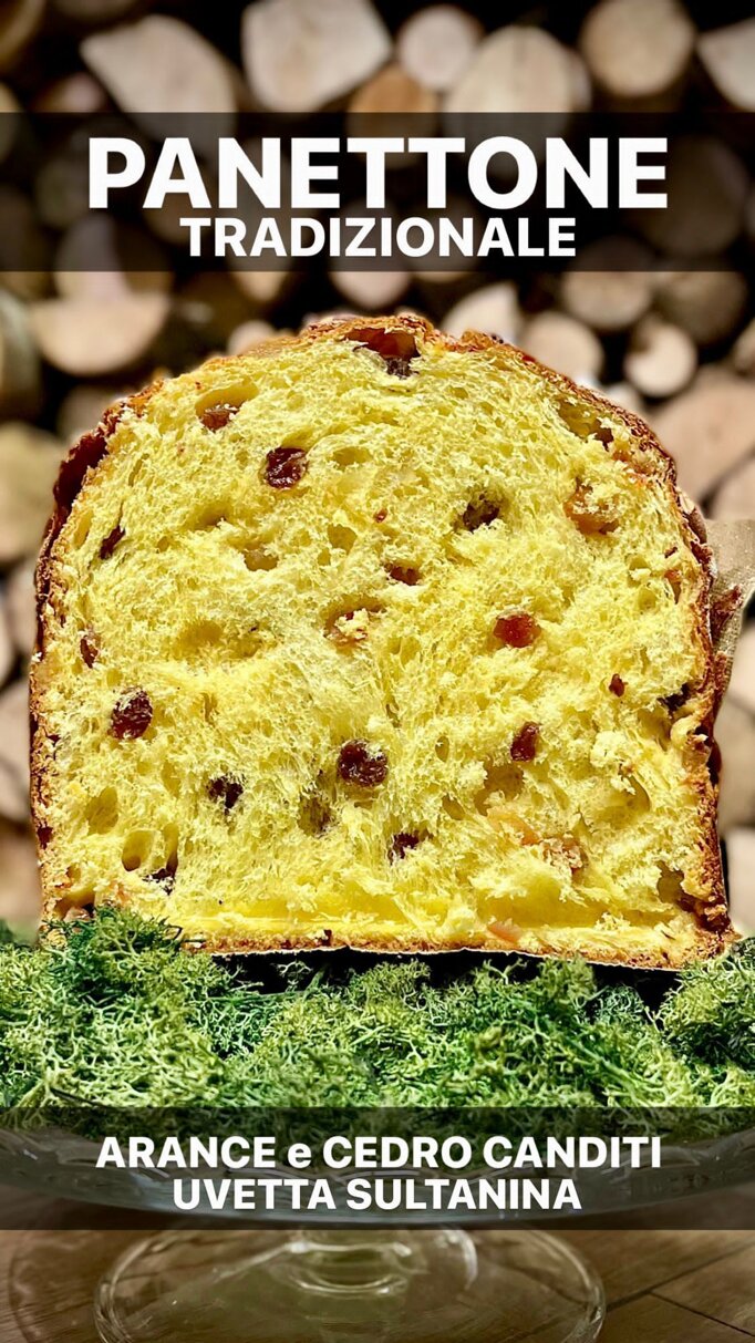 cf5512e4-a6b0-4db8-8d3a-88a61f421d43.jpeg cf5512e4-a6b0-4db8-8d3a-88a61f421d43.jpeg