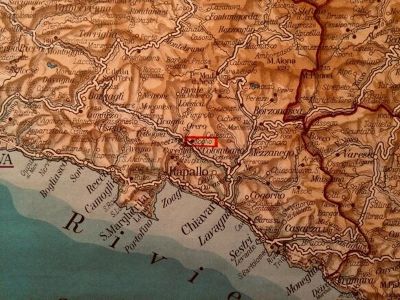 253876081.jpeg 253876081.jpeg